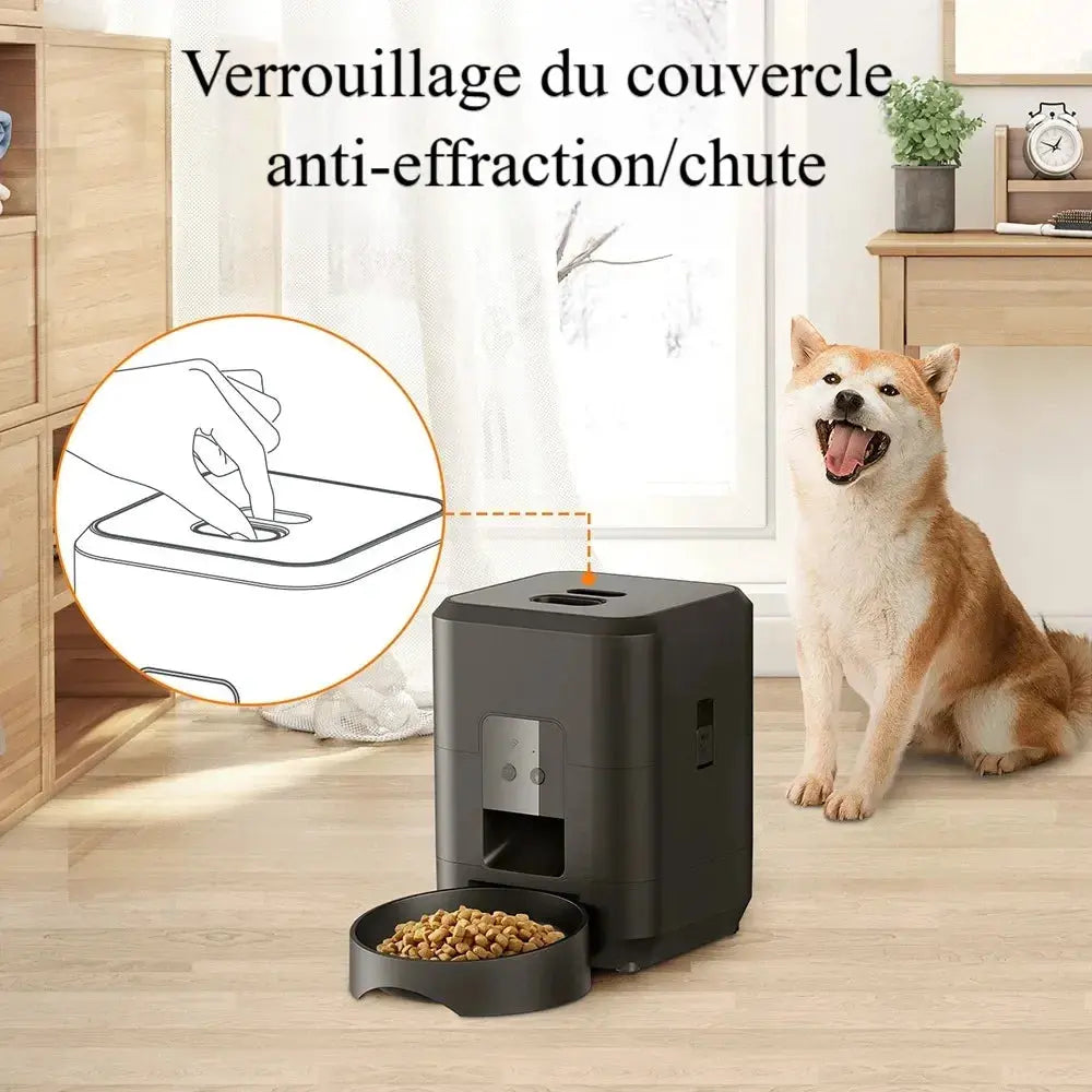 Distributeur programmable de croquettes pour chat - Griffe d'Amour