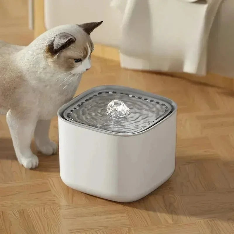 Fontaine à eau chat silencieuse - Griffe d'Amour