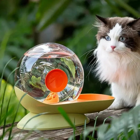 Fontaine à eau pour chat escargot - Encourage l'hydratation Griffe d'Amour
