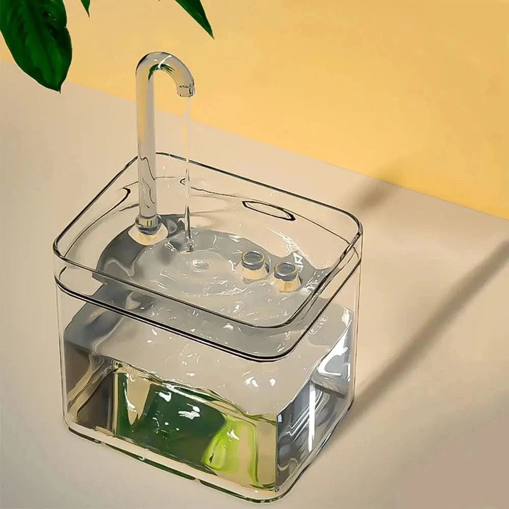 Fontaine à eau transparente pour chat Griffe d'Amour
