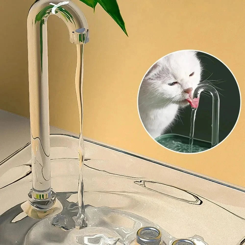 Fontaine à eau transparente pour chat Griffe d'Amour