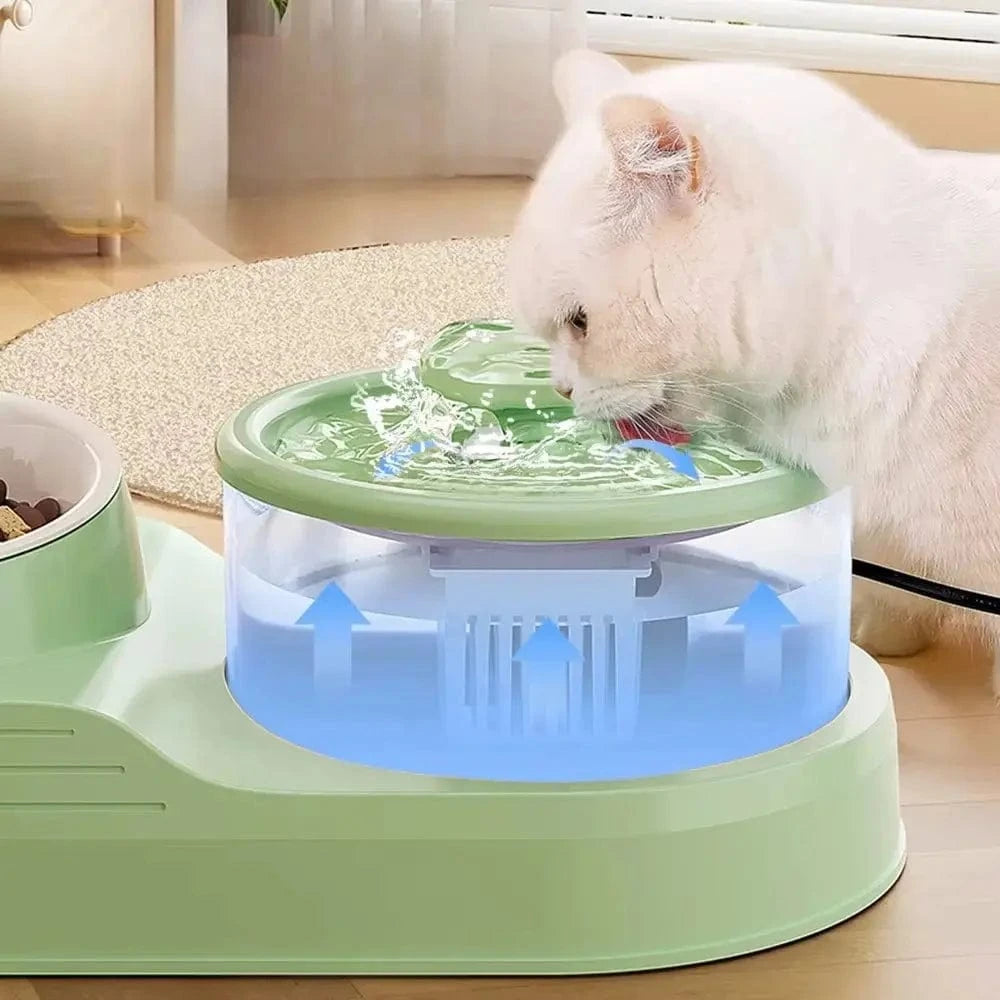 Fontaine à eau et croquette chat - Hydratation et repas faciles Griffe d'Amour