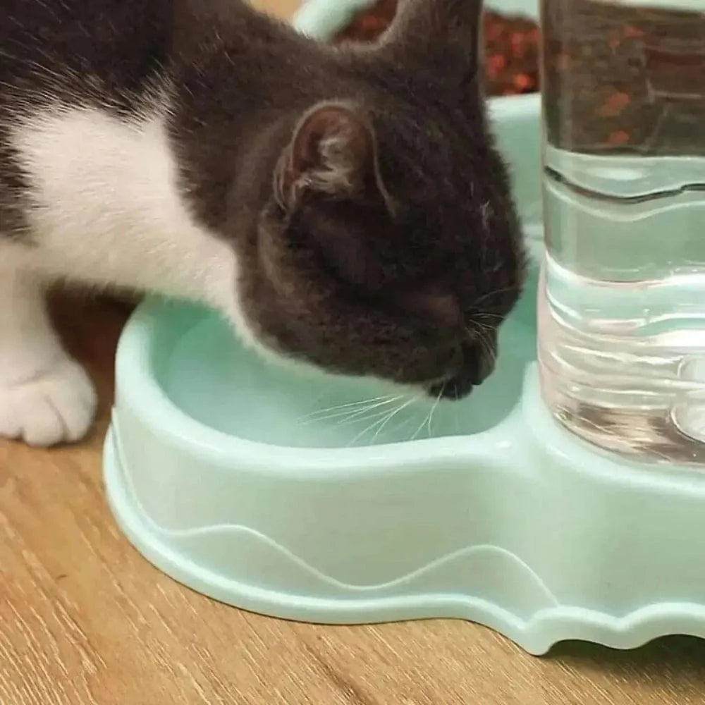 Gamelle chat distributeur automatique - Griffe d'Amour