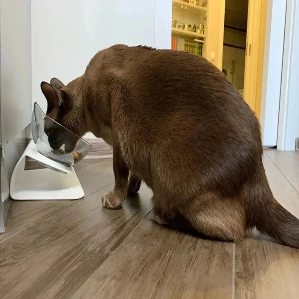 Gamelle inclinée pour chat Griffe d'Amour