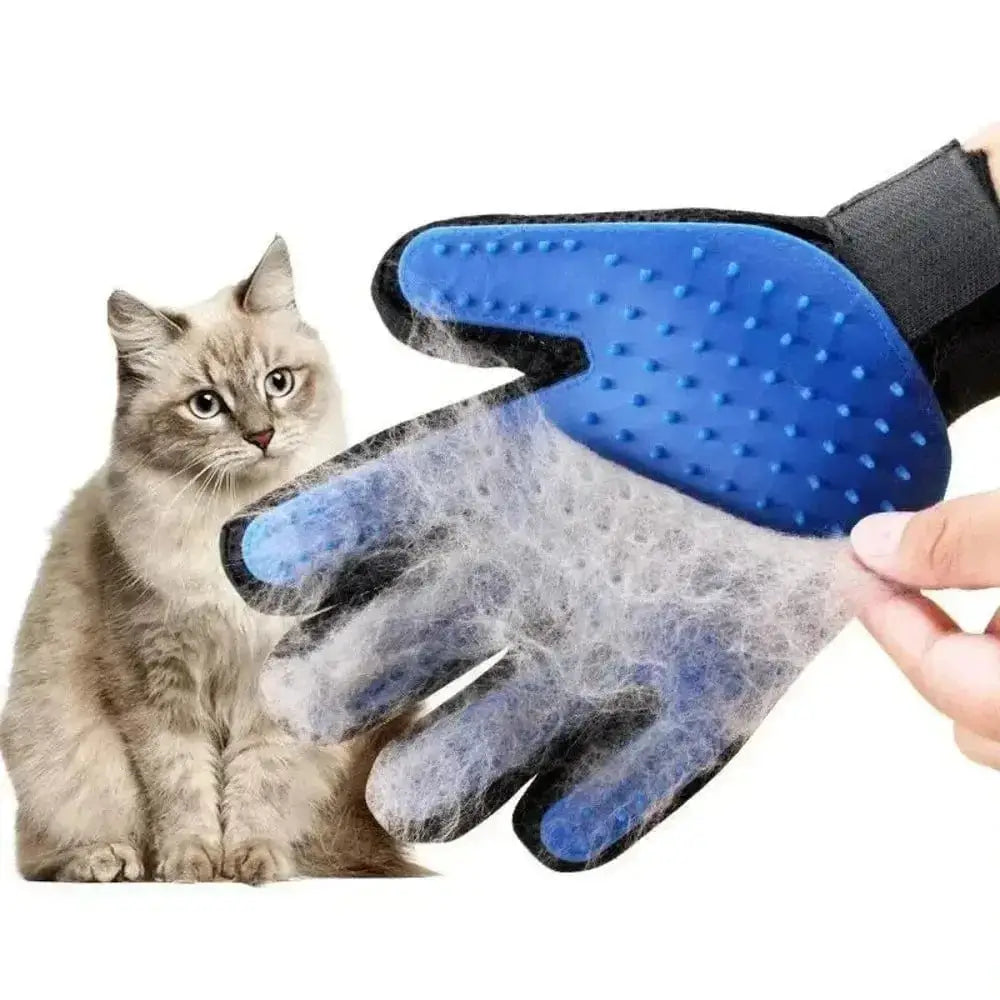 Gant de toilettage
