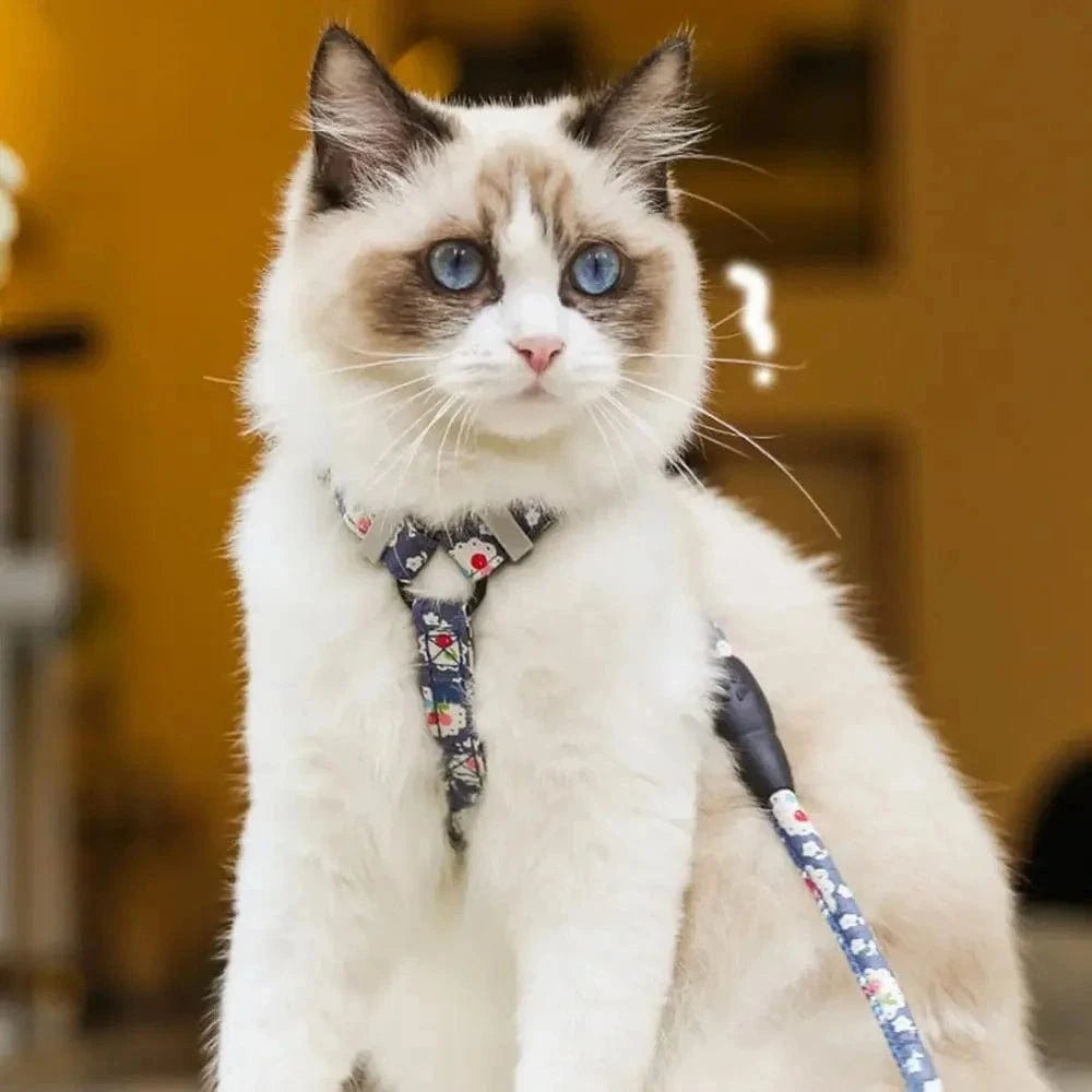 Harnais chat anti-étranglement - Sécurité et confort Griffe d'Amour