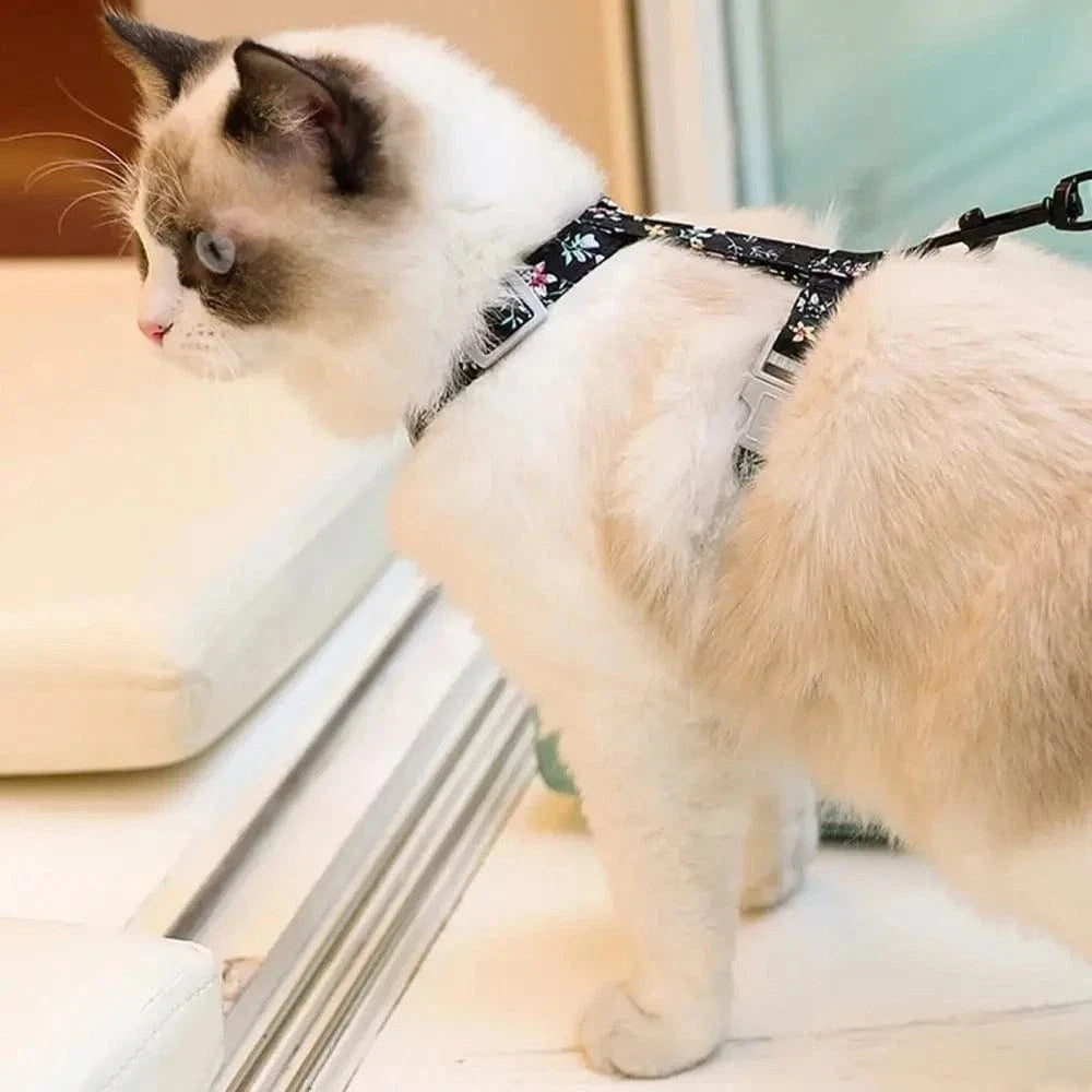 Harnais chat anti-étranglement - Sécurité et confort Griffe d'Amour