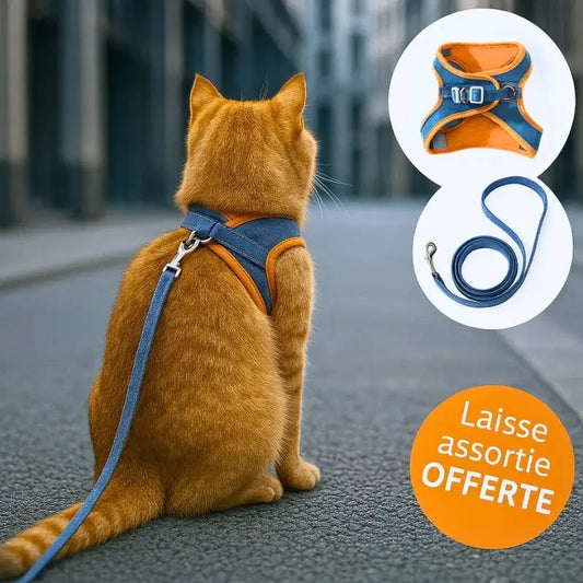 Harnais chat anti-fugue