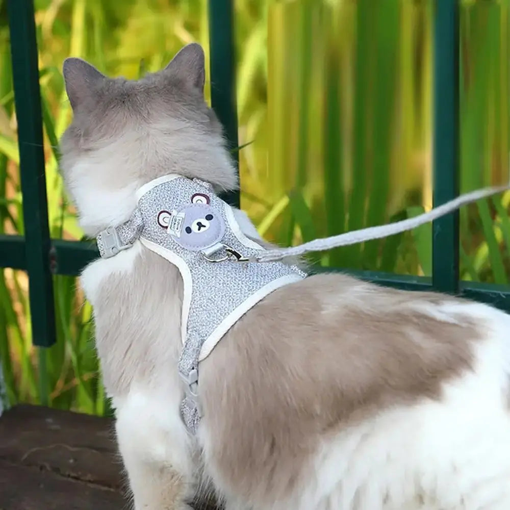 Harnais chaton ajustable - Liberté de mouvement Griffe d'Amour