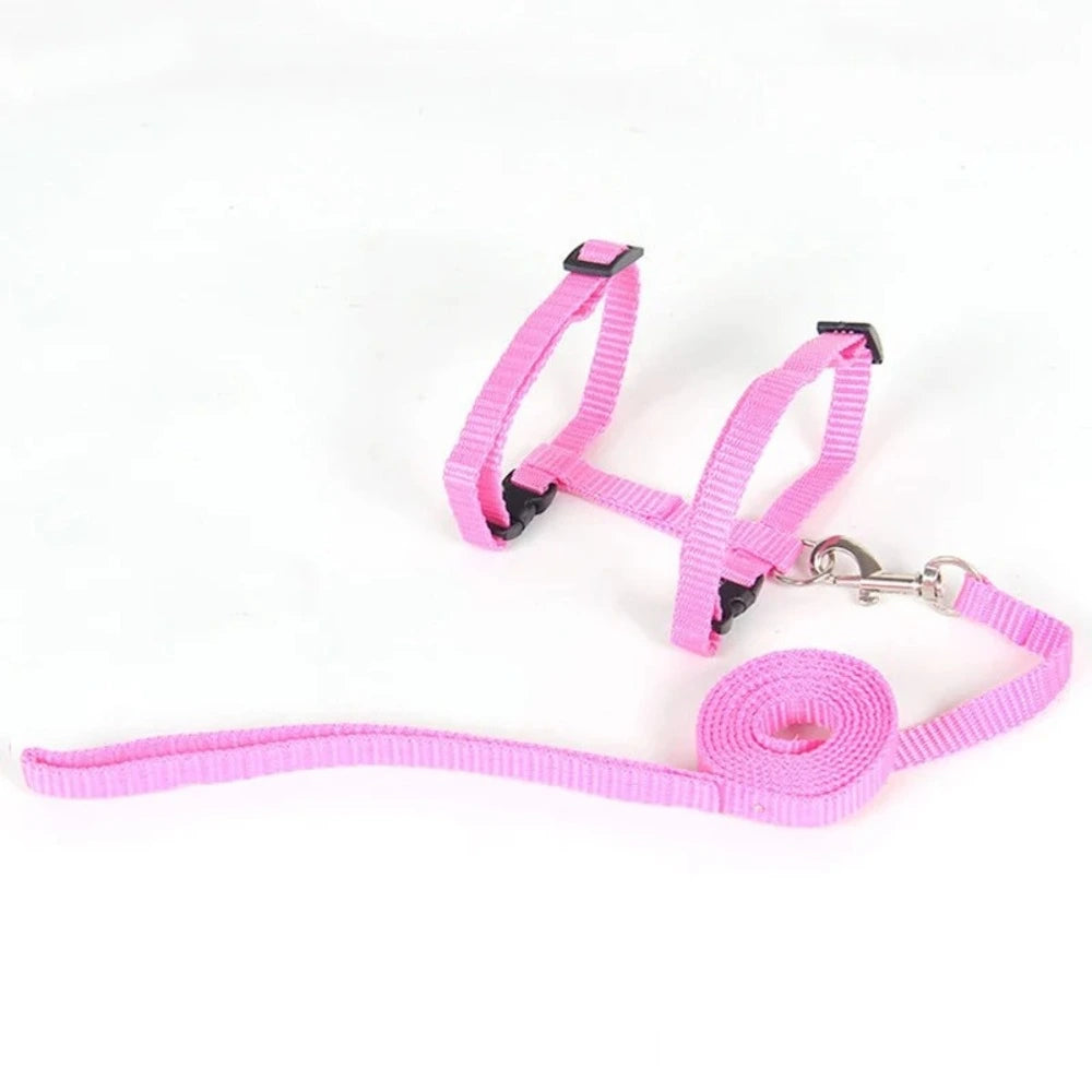 Harnais laisse chaton - Confortable en nylon doux Griffe d'Amour
