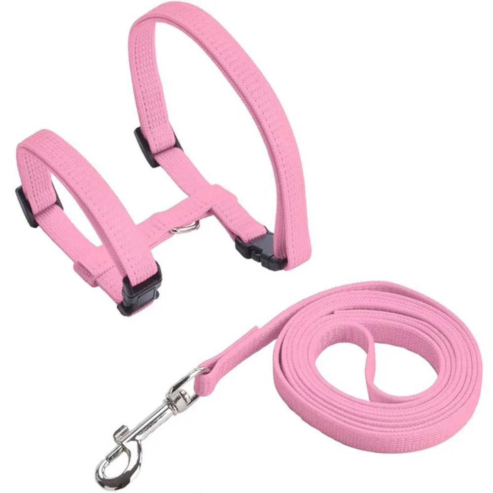 Harnais laisse chaton - Confortable en nylon doux Griffe d'Amour