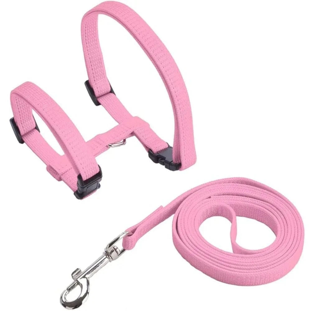 Harnais laisse chaton - Confortable en nylon doux Griffe d'Amour