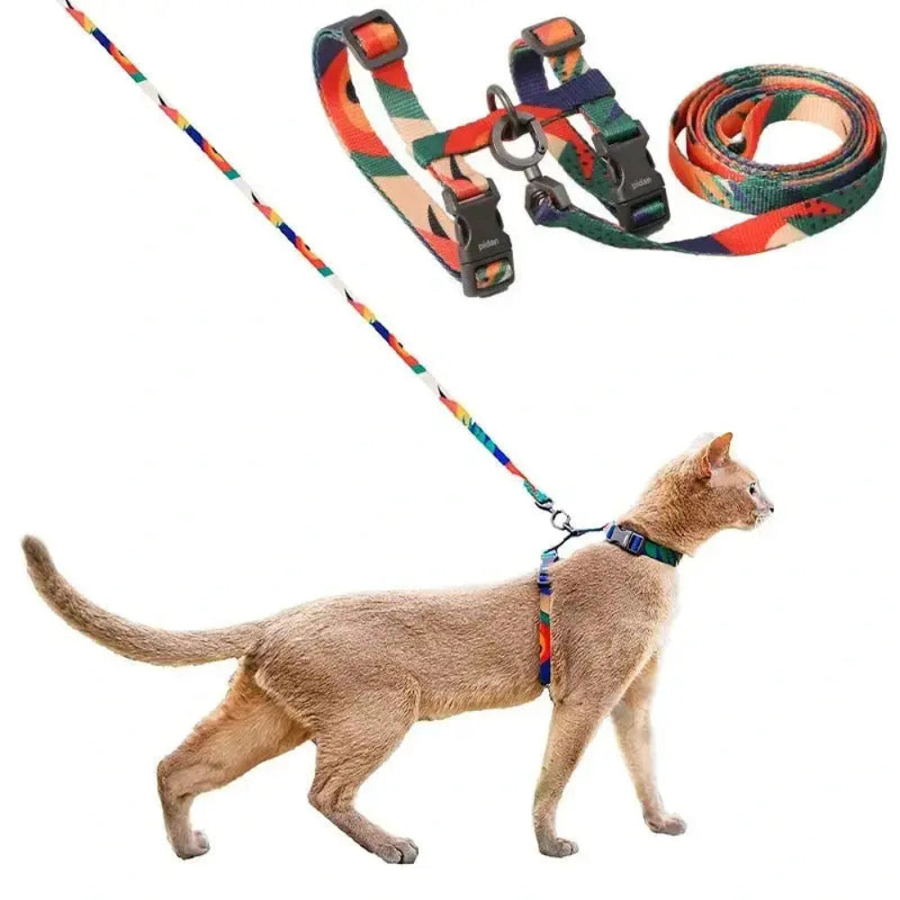 Harnais laisse pour chat - Griffe d'Amour