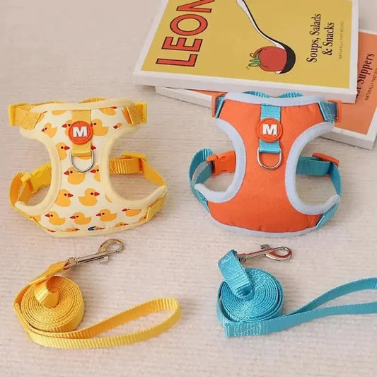 Harnais chaton 3 mois