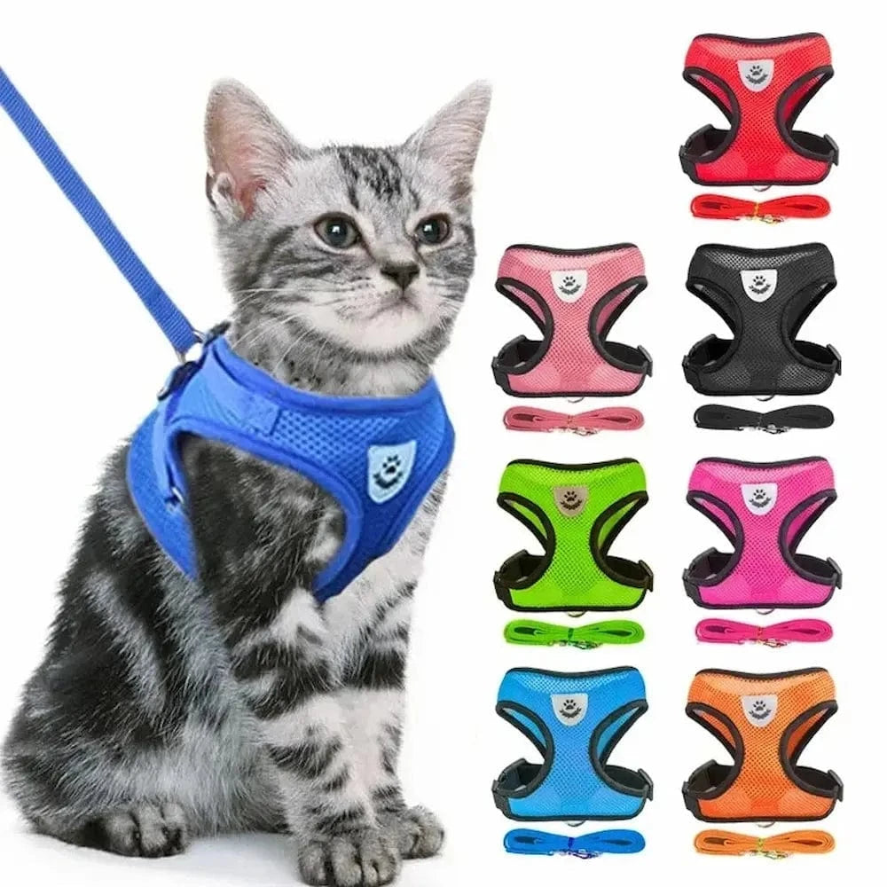 Harnais réfléchissant pour chat - Promenade sereine Griffe d'Amour