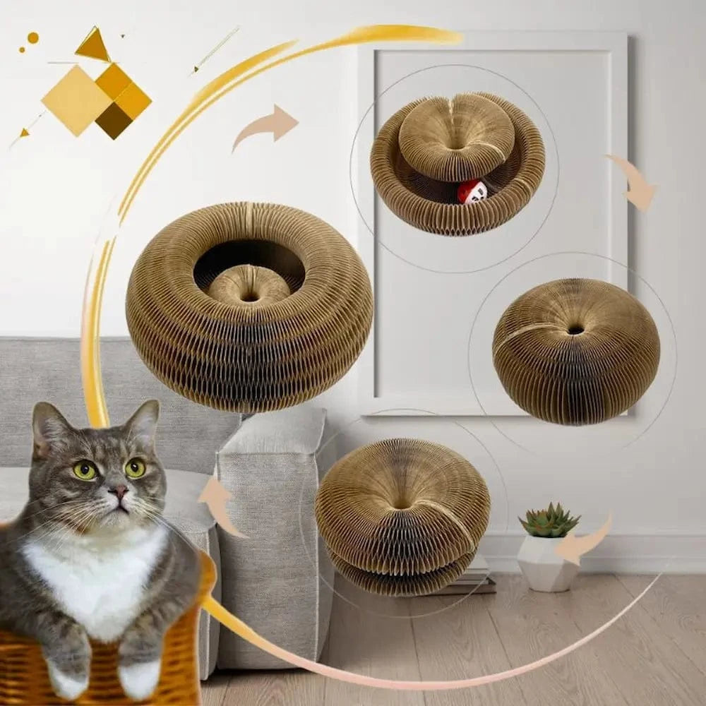 Jouet griffoir chat avec balle - Griffe d'Amour