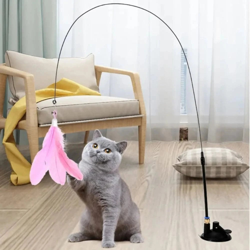 Jouet pour chat plume à ventouse - Griffe d'Amour