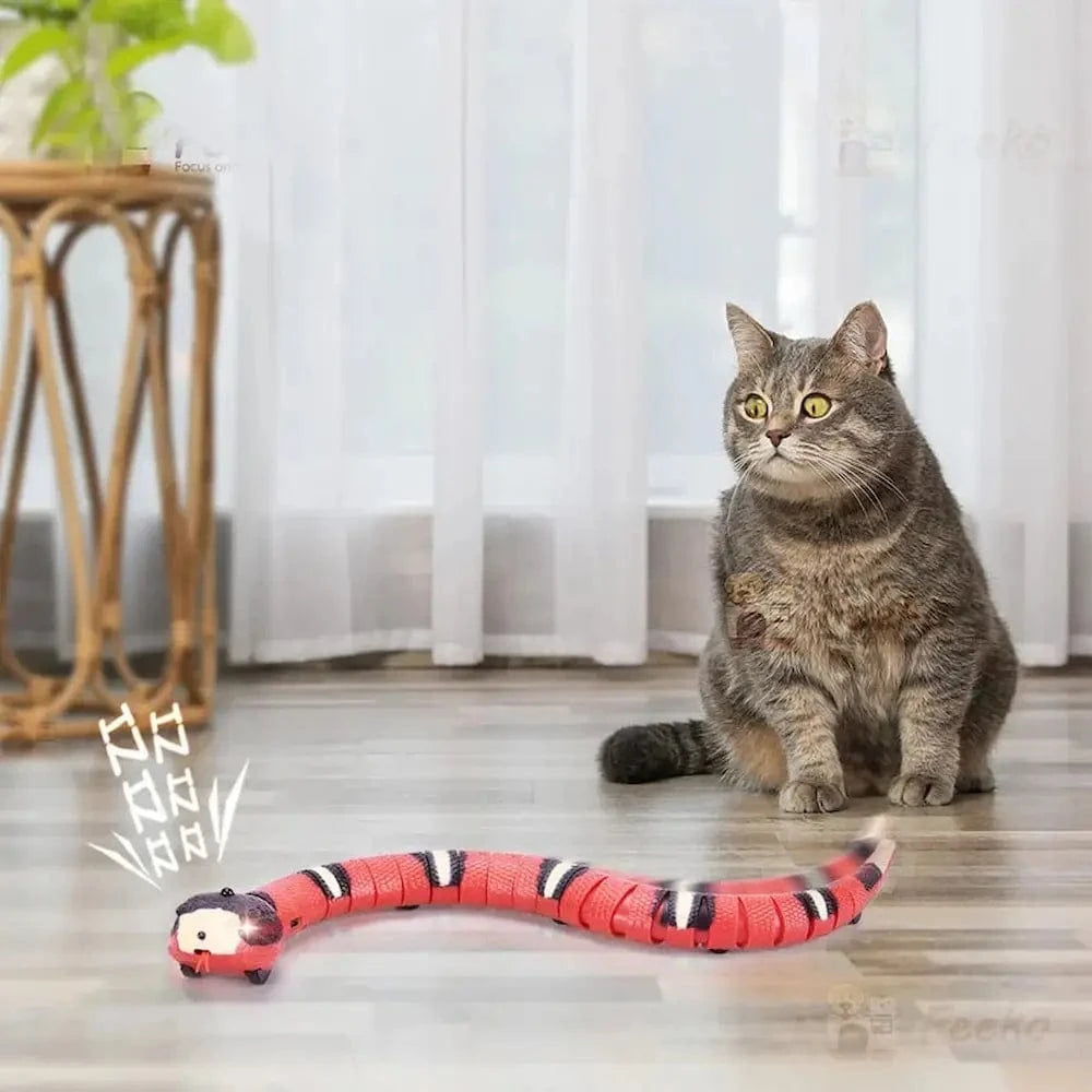 Jouet serpent pour chat - Griffe d'Amour