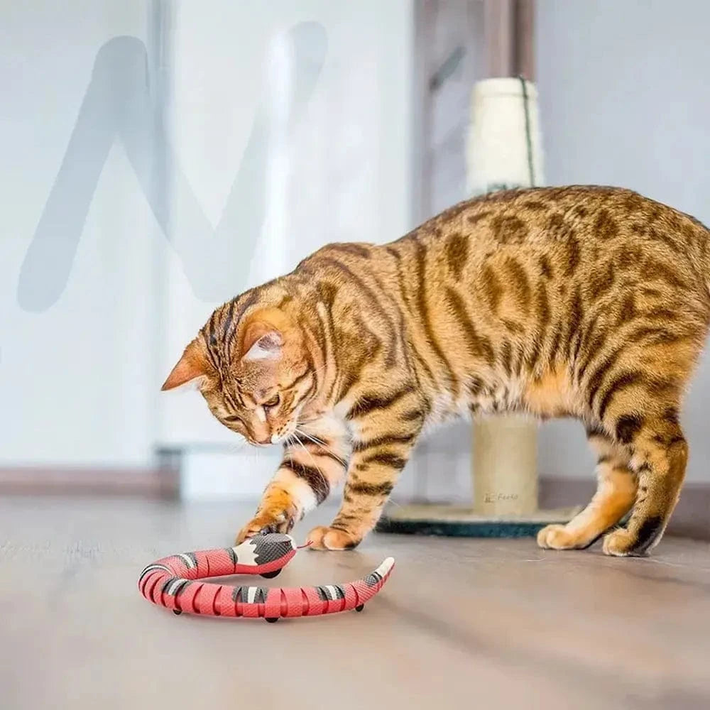 Jouet serpent pour chat - Griffe d'Amour