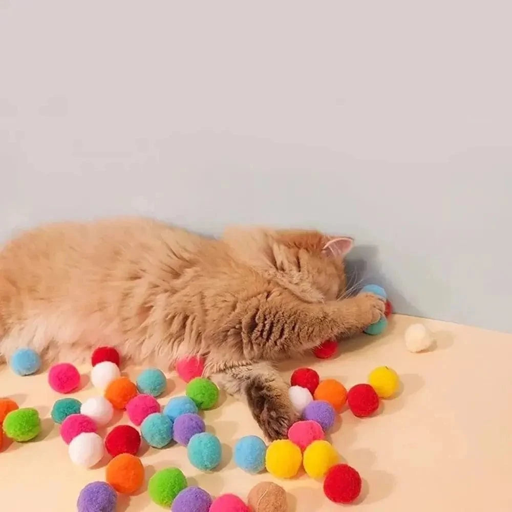 Lanceur de balle pour chat - Jeu interactif et amusant Griffe d'Amour