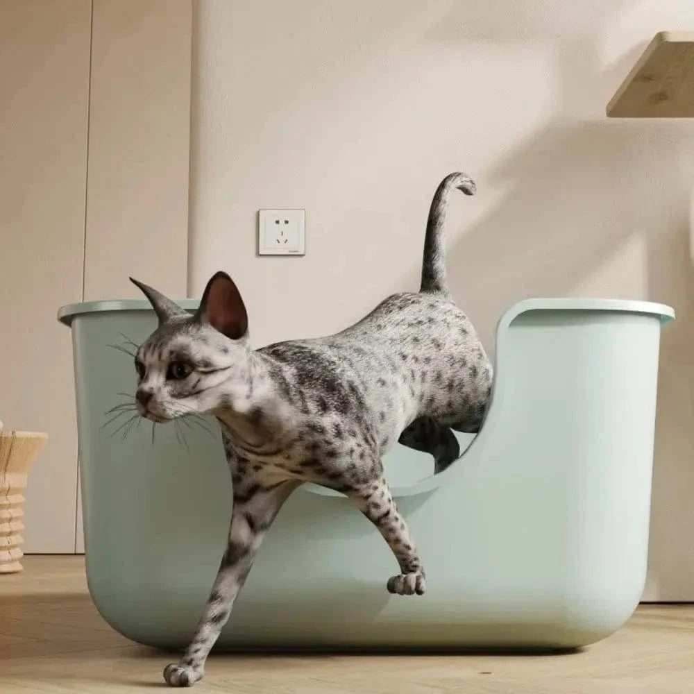 Litière XXL pour Maine Coon - Griffe d'Amour