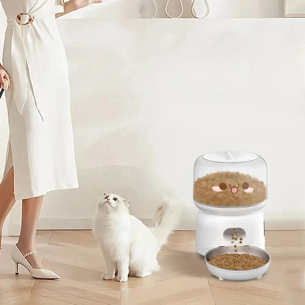 Mangeoire automatique pour chat - Double alimentation Griffe d'Amour