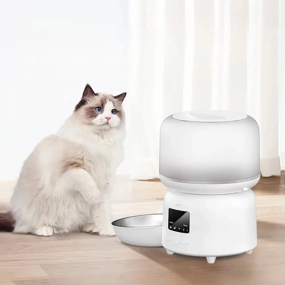 Mangeoire automatique pour chat - Double alimentation Griffe d'Amour