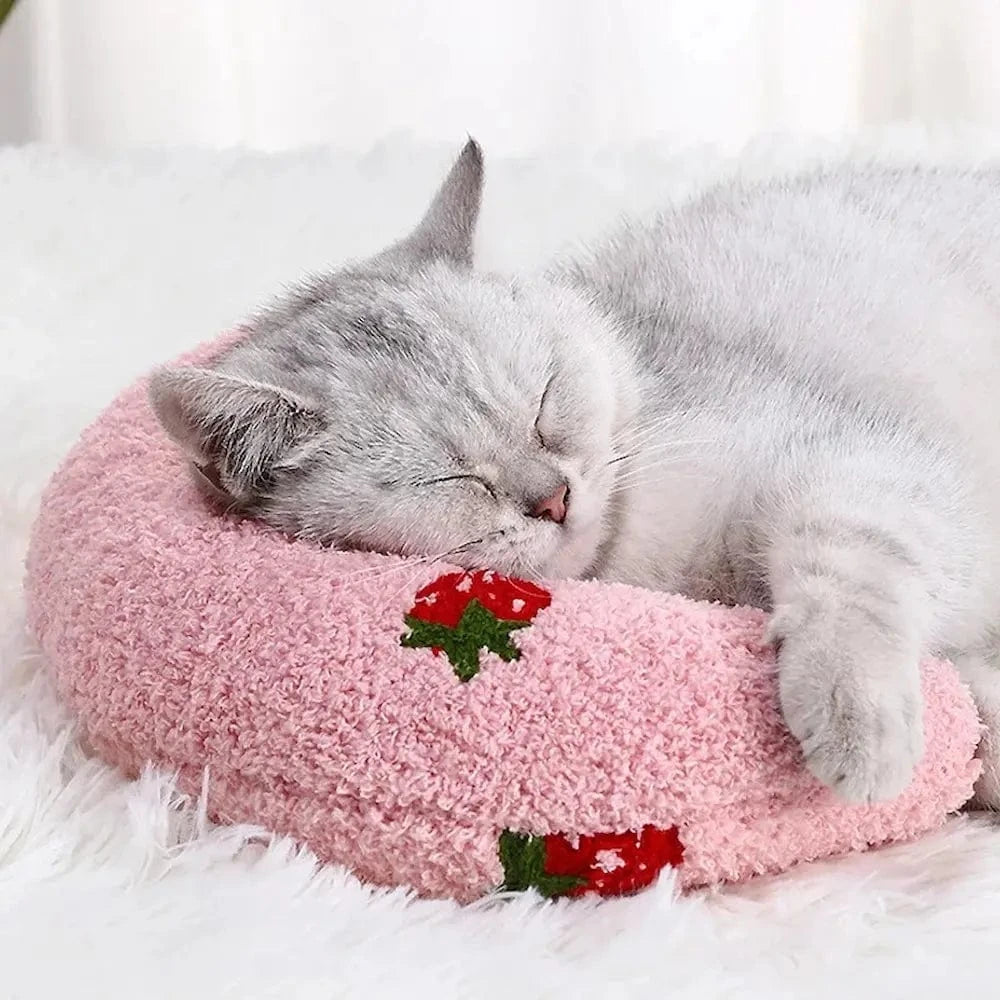 Oreiller chat - Griffe d'Amour