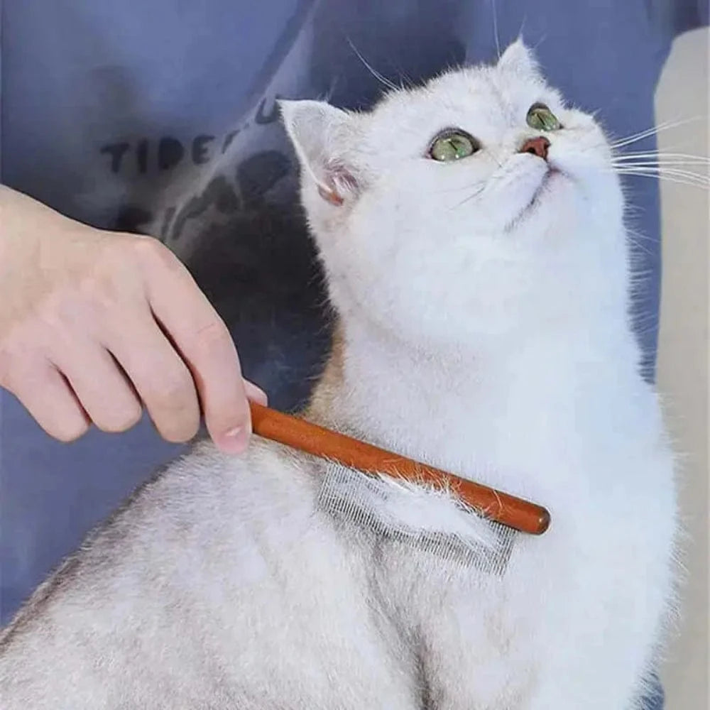 Peigne pour chat Griffe d'Amour