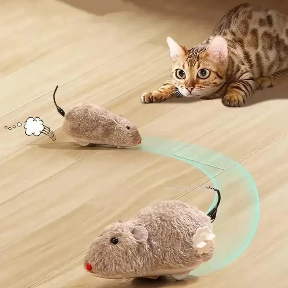Souris pour chat interactive - Stimule l'instinct de chasse Griffe d'Amour