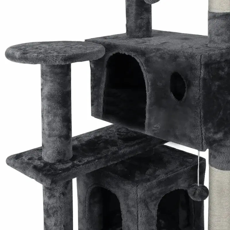 Arbre à chat avec échelle