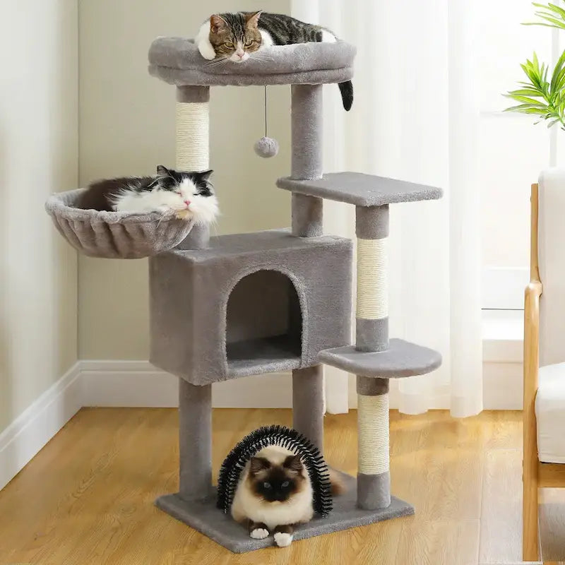 Arbre à chat avec jouet