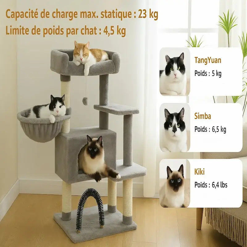 Arbre à chat avec jouet