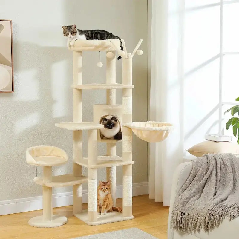 Arbre à chat grande plateforme