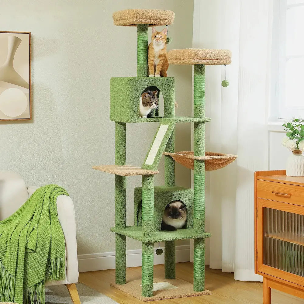 Arbre à Chat XXL - Idéal grands chats Griffe d'Amour