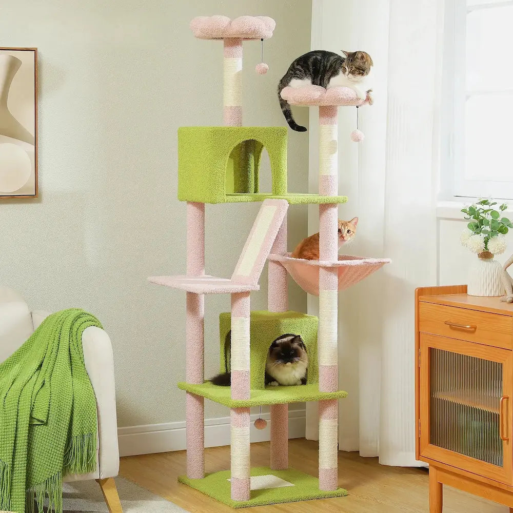 Arbre à Chat XXL - Idéal grands chats Griffe d'Amour