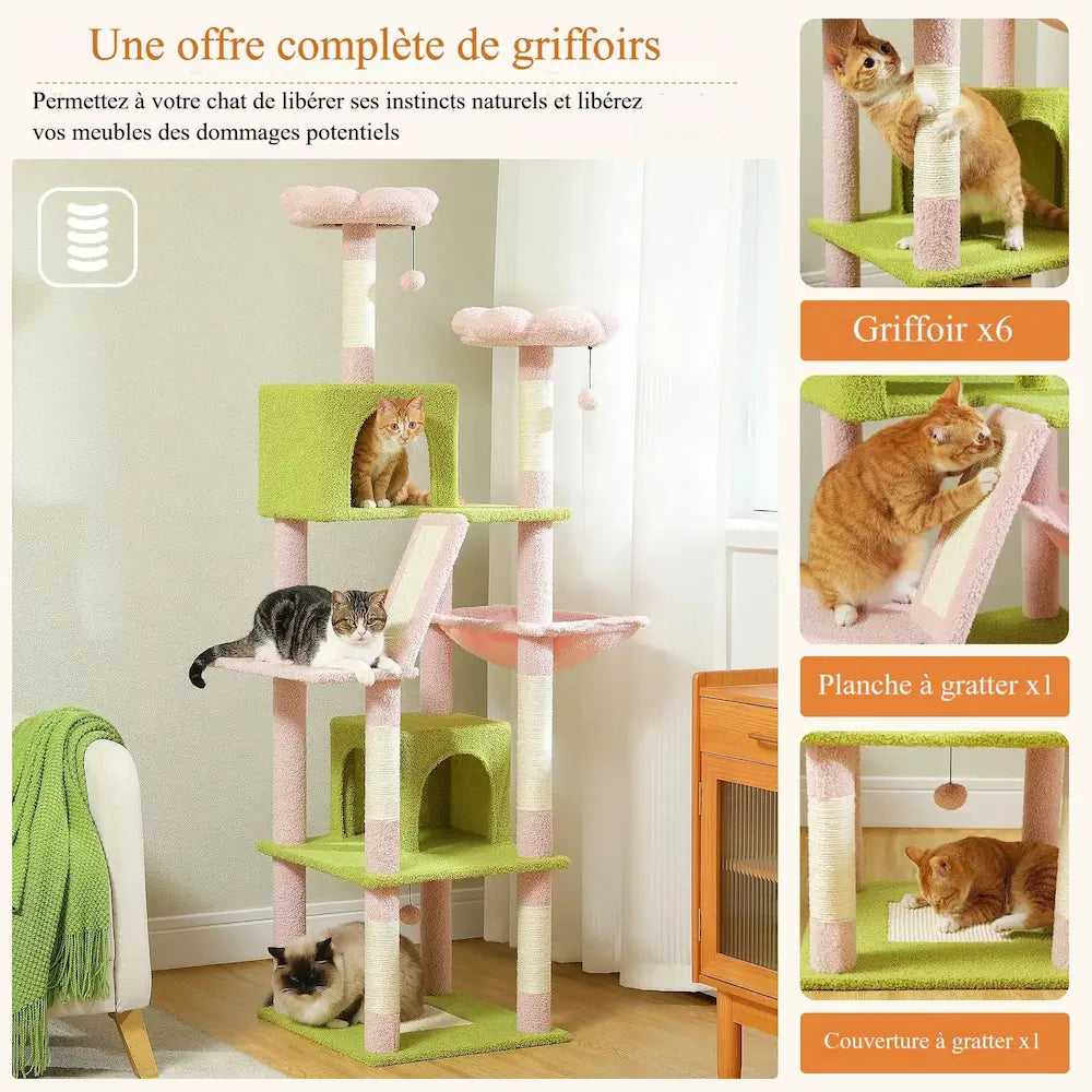Arbre à Chat XXL - Idéal grands chats Griffe d'Amour