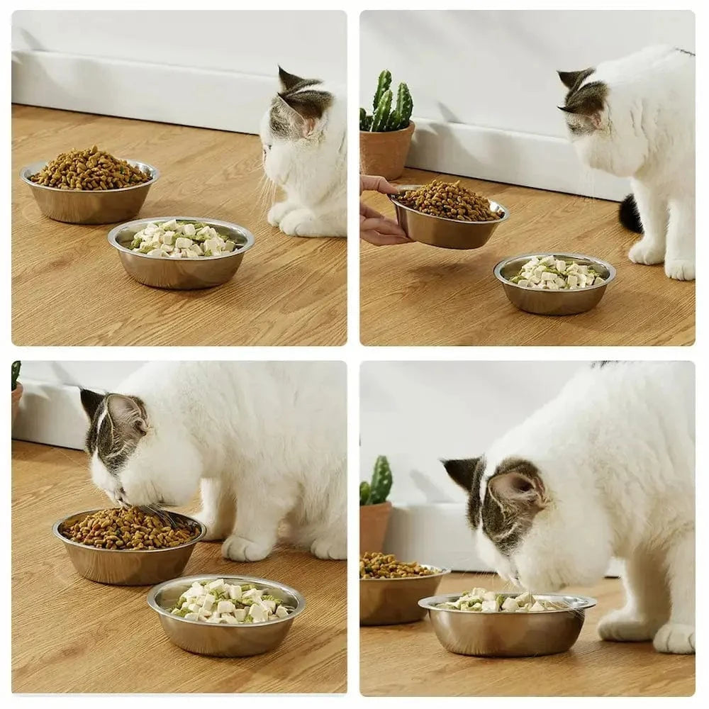Bol en inox pour chat - Résistant et hygiénique Griffe d'Amour