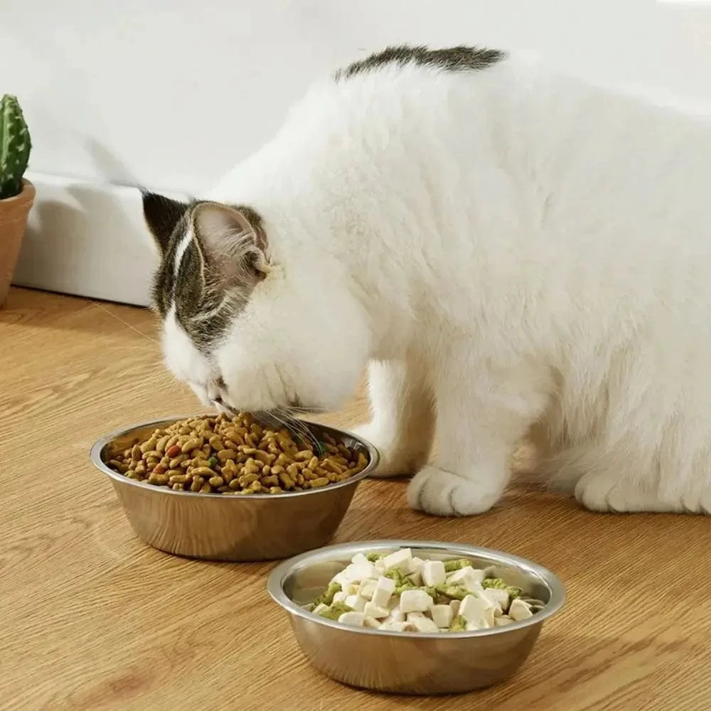Bol en inox pour chat - Résistant et hygiénique Griffe d'Amour