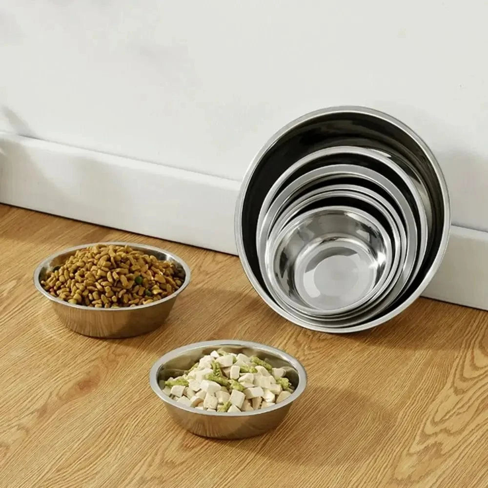 Bol en inox pour chat - Résistant et hygiénique Griffe d'Amour