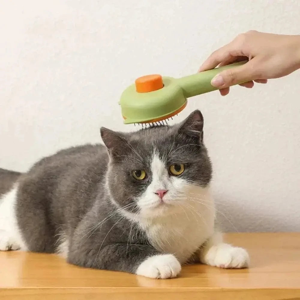 Brosse autonettoyante chat