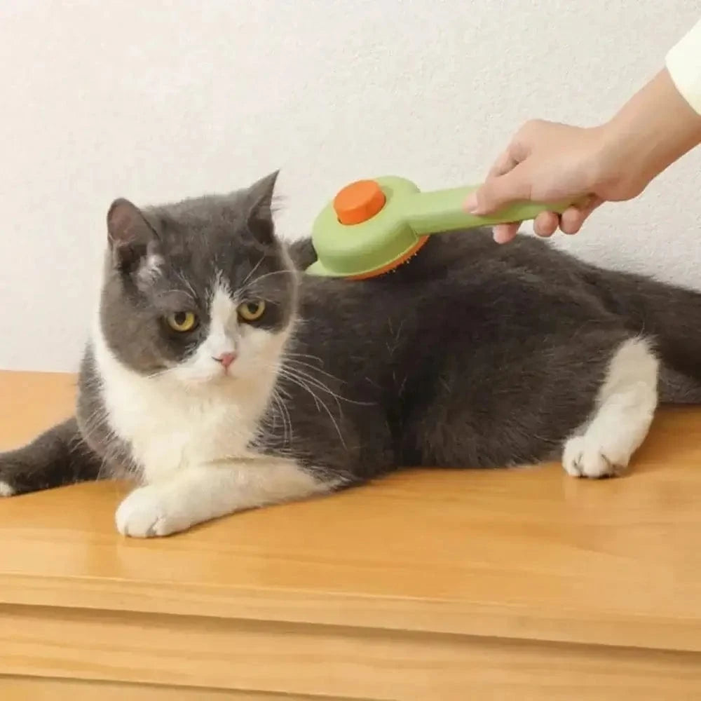 Brosse autonettoyante chat