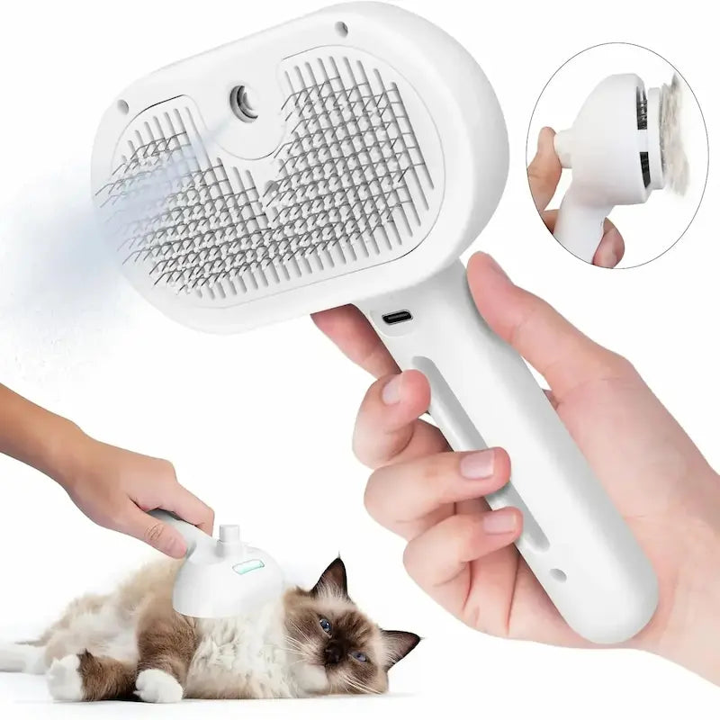 Brosse avec spray