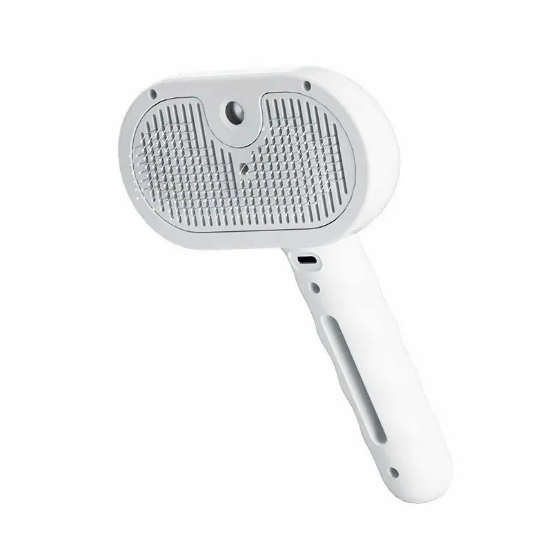 Brosse avec spray