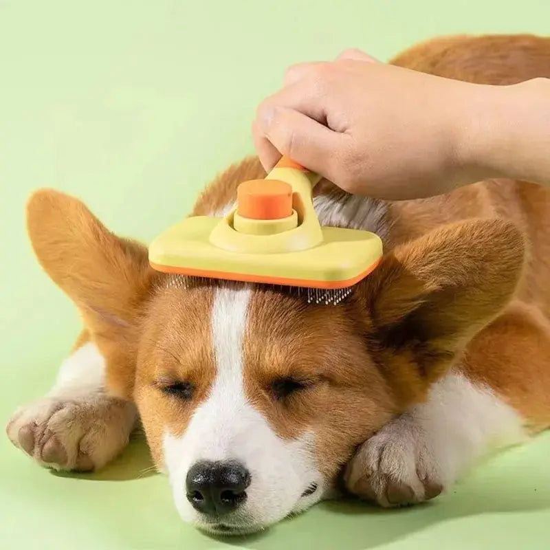 Brosse magique animaux