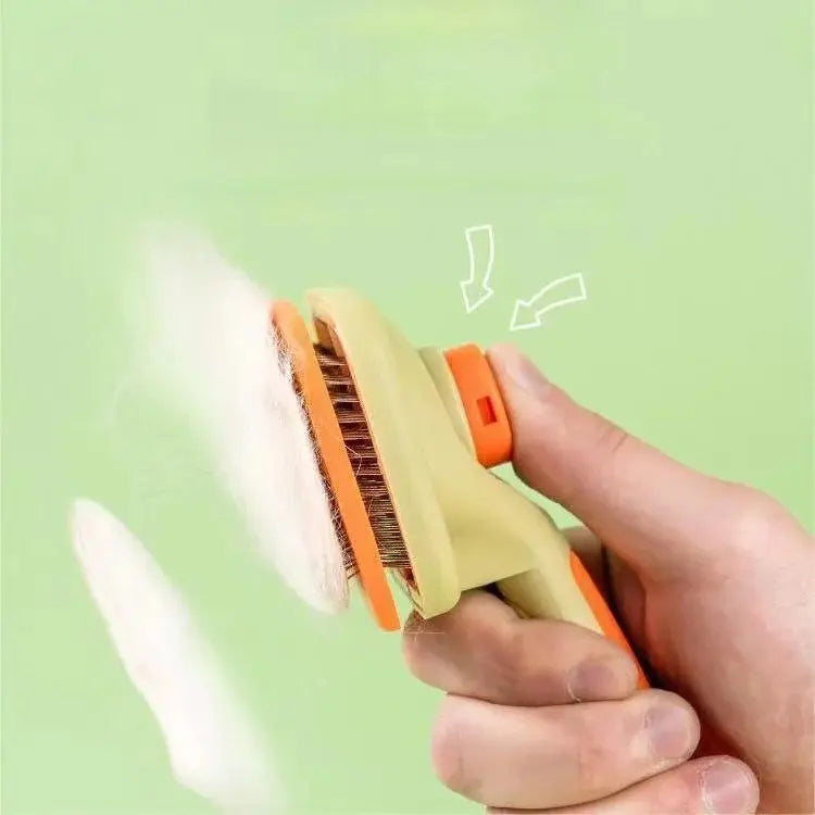 Brosse magique animaux