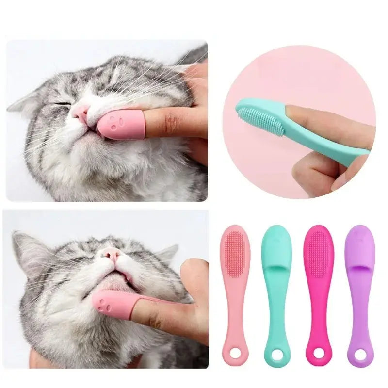 Brosse menton chat