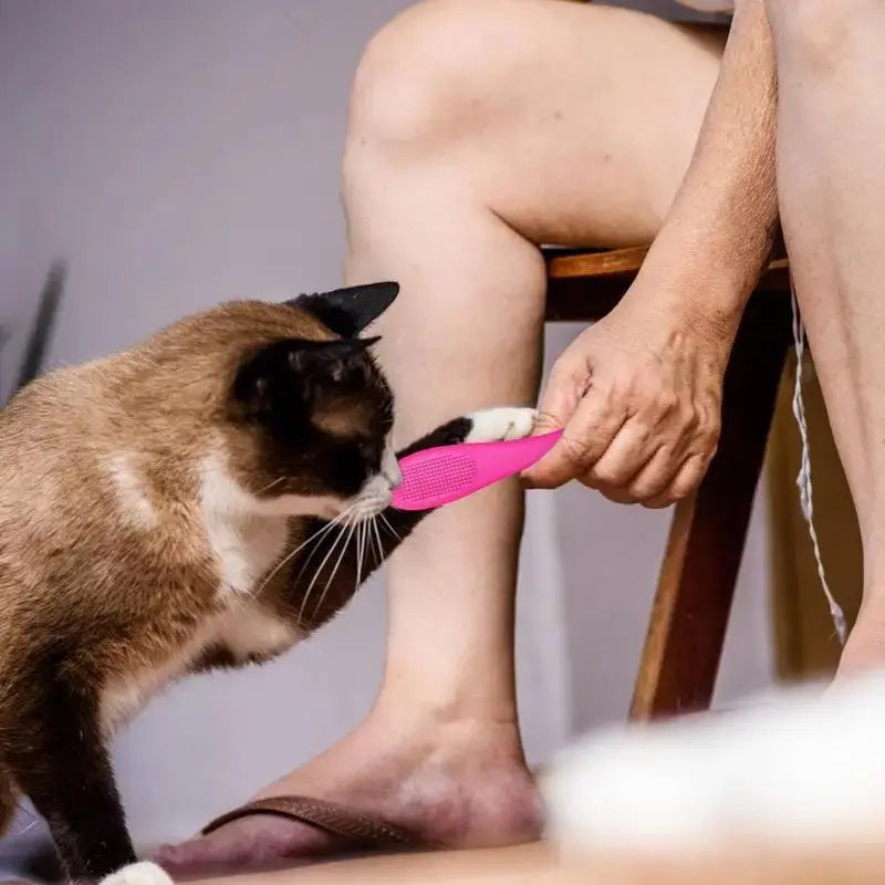 Brosse menton chat