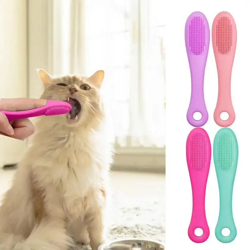 Brosse menton chat