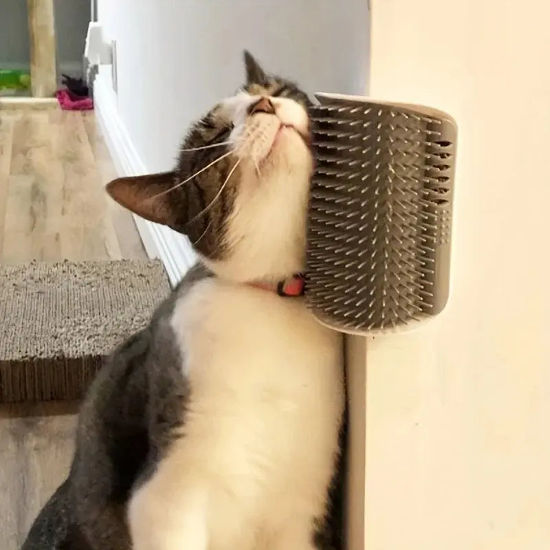 Brosse murale chat